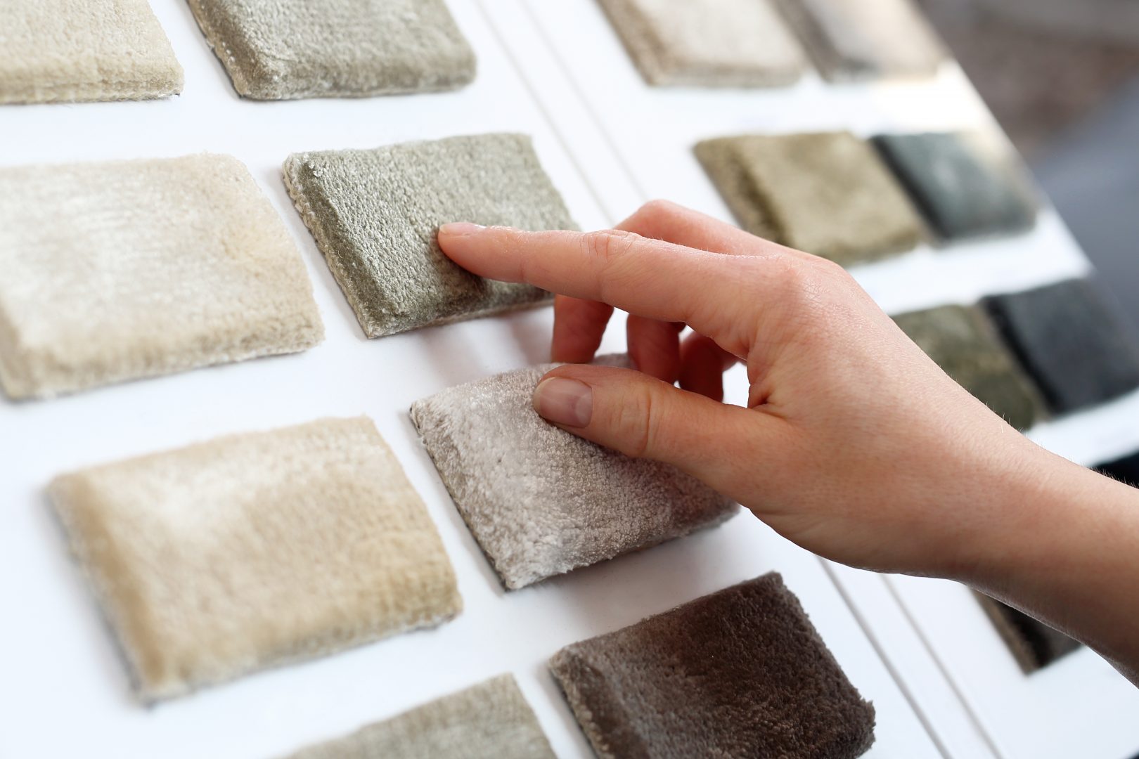 carpet-shop